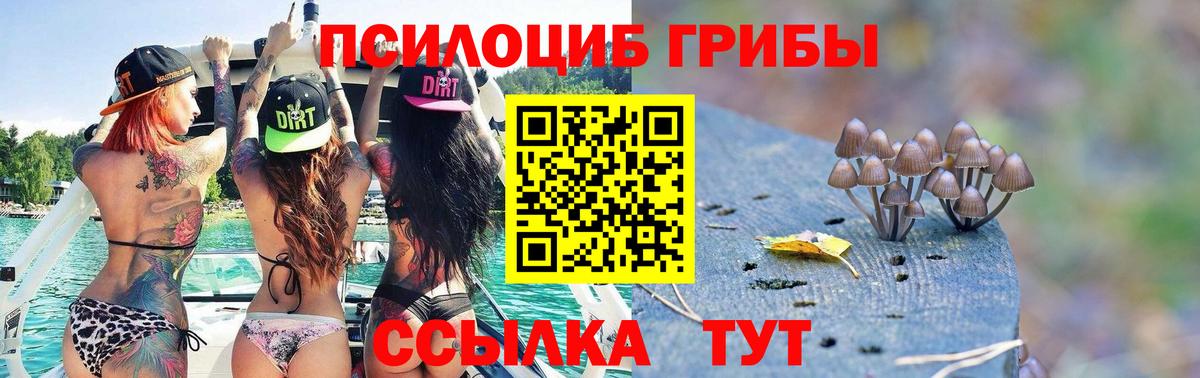 Новосибирск  Галлюциногенные грибы Cubensis  Вход с VPN 