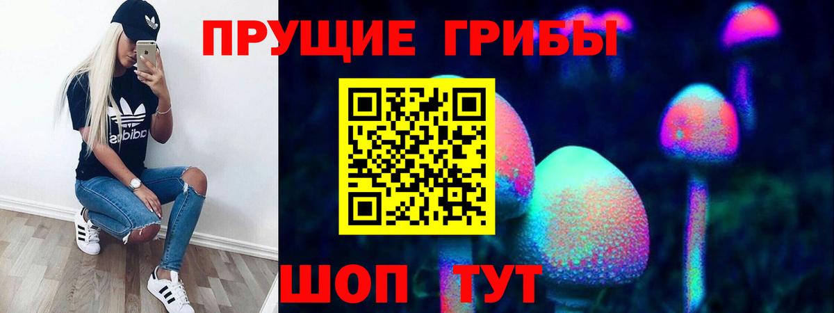 Галлюциногенные грибы мухоморы Новосибирск
