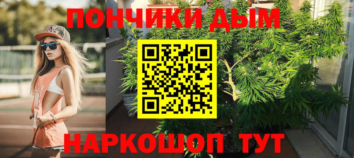Бошки Шишки ГИДРОПОН  Вход с VPN  Новосибирск  МАРИХУАНА сатива  Шишки марихуана VHQ 